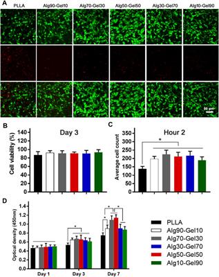 Improved Osteogenesis by Mineralization Combined With Double-Crosslinked Hydrogel Coating for Proliferation and Differentiation of Mesenchymal Stem Cells